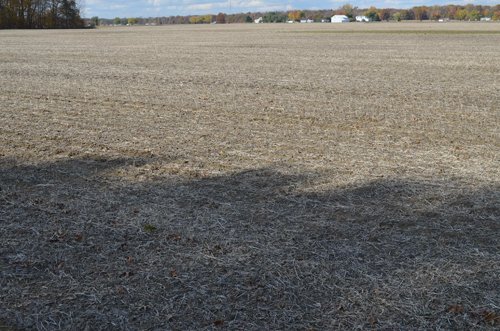Property photo 27 - 75.3 Acres Offered in 2 Tracts